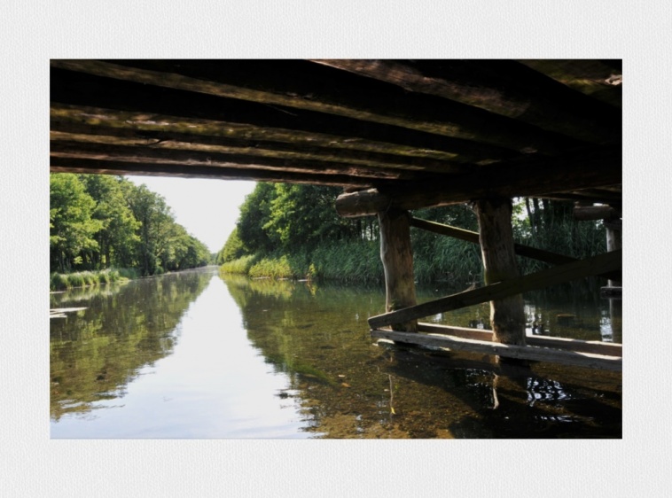 Kajaki Dębki Piaśnicą do morza