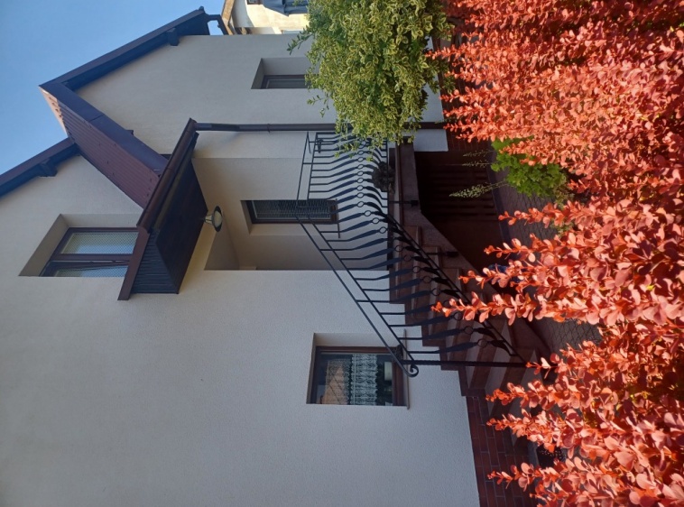 Willa Zofia Widok na dom